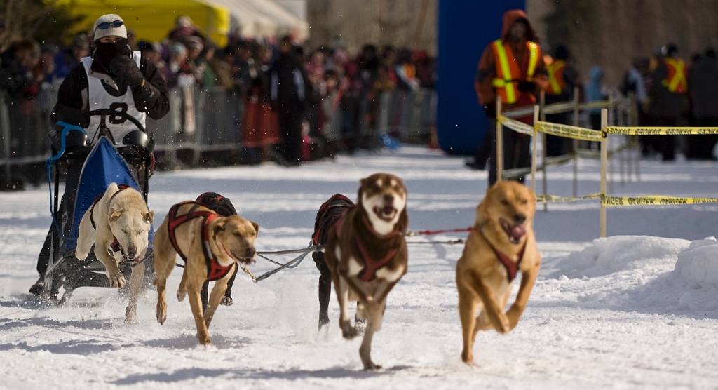 2009-03-14, Competition de traineaux a chiens au Bec-scie (111637).jpg - Au départ
